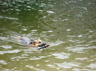 Lotte in de Chassezac